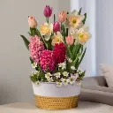 Purple Passion Bulb Garden.webp