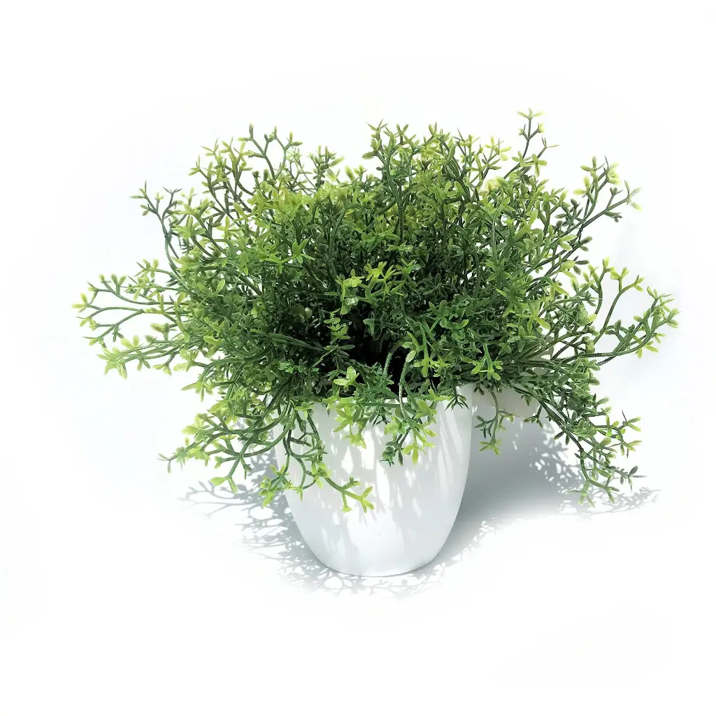 Thyme 2.webp